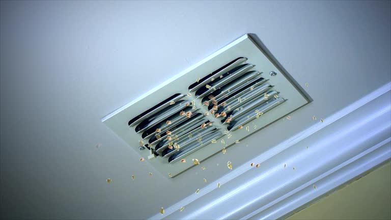 Best Dryer Vent Cleaning Services  in Chino Valley, AZ