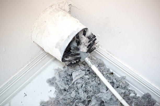 Best Duct Cleaning Specialists  in Chino Valley, AZ